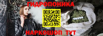 стаф Кингисепп
