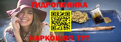 стаф Кингисепп