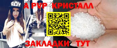 стаф Кингисепп