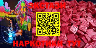 стаф Кингисепп
