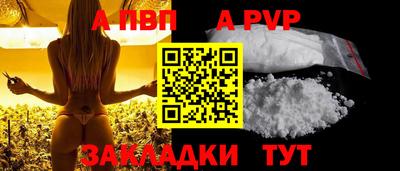 стаф Кингисепп