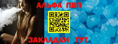 стаф Кингисепп
