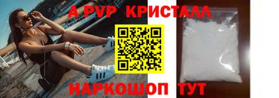стаф Кингисепп