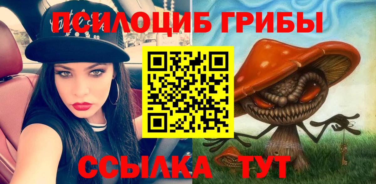 Галлюциногенные грибы прущие грибы  Галлюциногенные грибы Psilocybine cubensis  Чита  Вход с VPN 